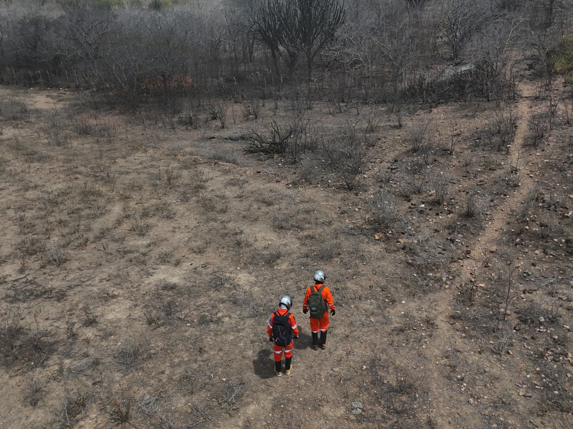 Analog astronaut crew during a navigation task in the Brazilian caatinga